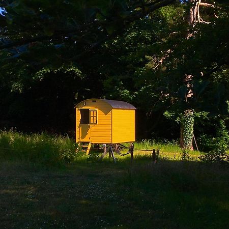 Blackstairs Shepherds Huts Killedmond Exterior foto
